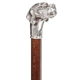 Harvy Canes Loyal Lab, Dog , Harvy Cane