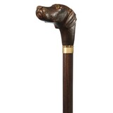 Harvy Canes Brownie, our Chocolate Lab Cane