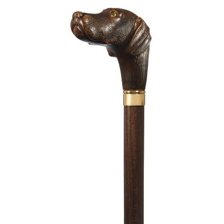 Harvy Canes Brownie, our Chocolate Lab Cane