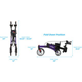 Nova Ortho-Med, INC. Dragon Rise Up Rollator