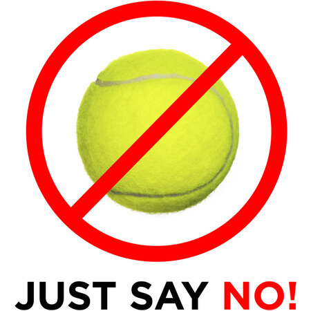 Nova Ortho-Med, INC. Walker Glide Skis - Black