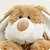 Rose Health Warmies Soft Plush Animals