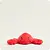 Rose Health Warmies Soft Plush Animals Lobster