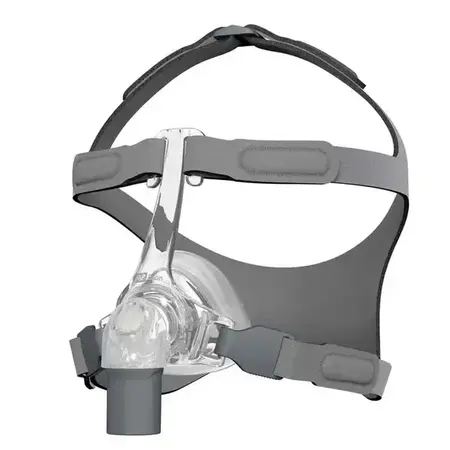 Fisher & Paykel Eson Mask