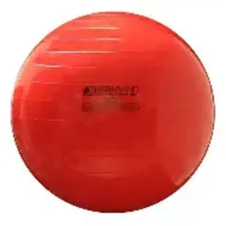 Thera-Band Theraband Exercise Ball