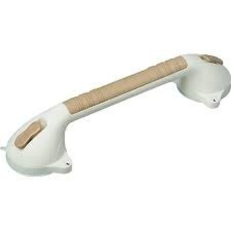 BRIGGS HEALTHCARE, DMS HOLDINGS INC. Suction Grab Bar, Single