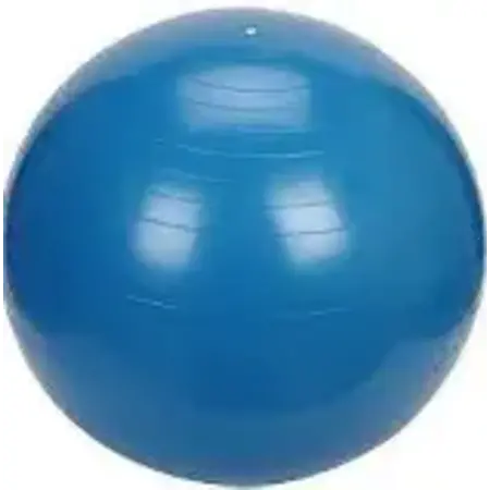 Norco Exercise Ball