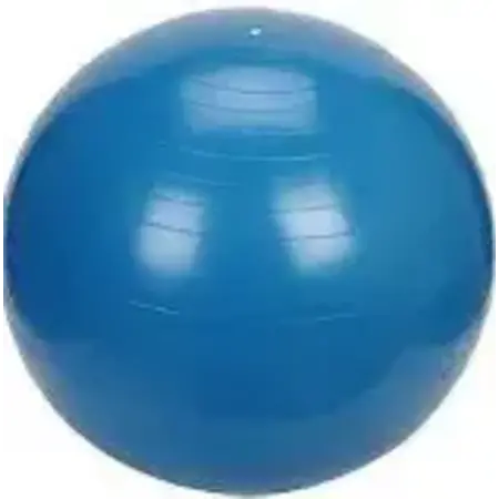 Norco Exercise Ball