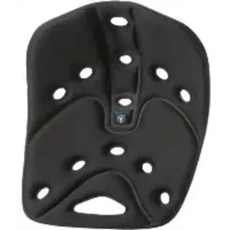 Back Joy Backjoy SitSmart