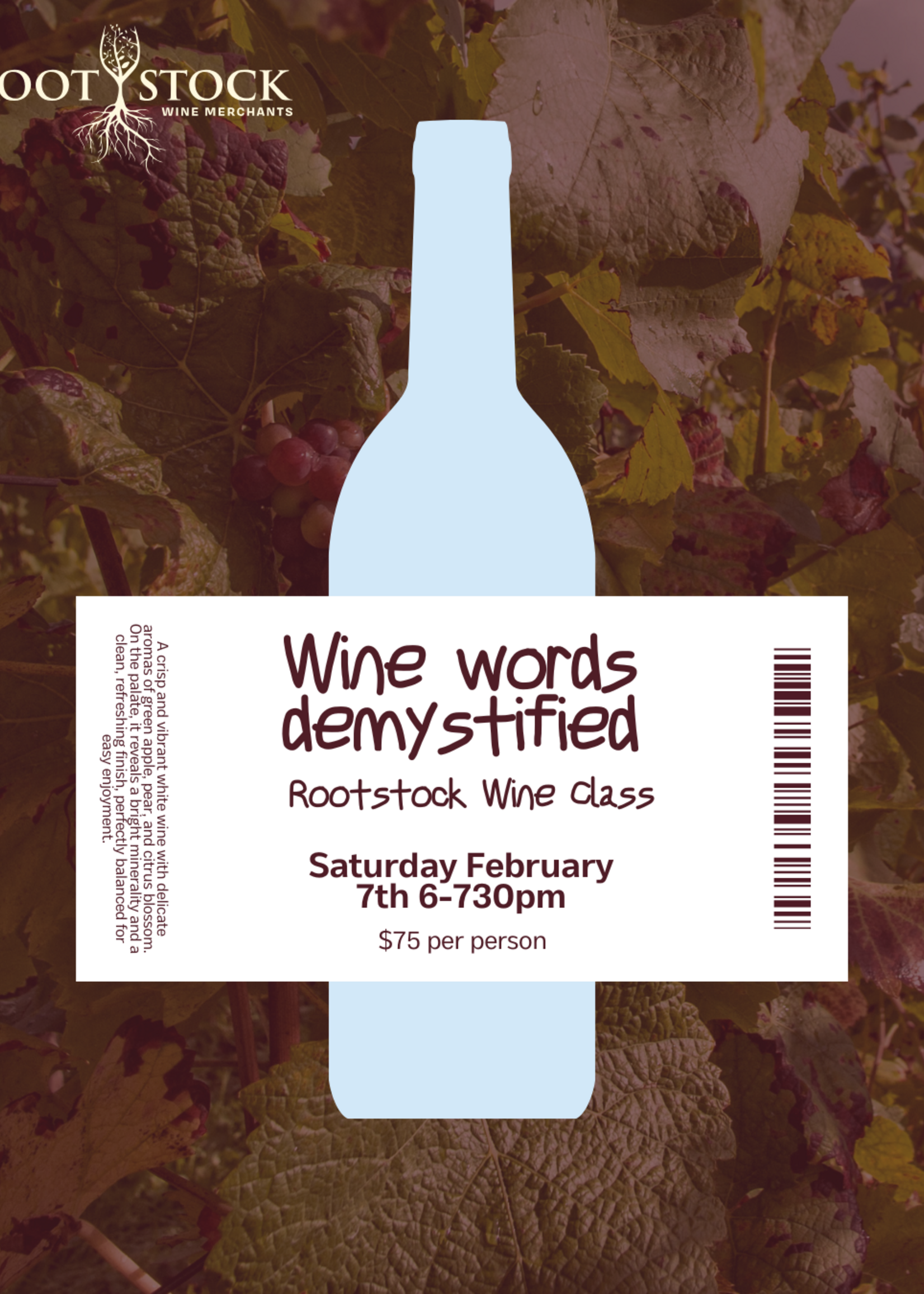 Wine Words Demystified Class February Sat 7th