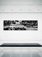 Kauai Local Photography Hanalei River Black and White Photo on Canvas