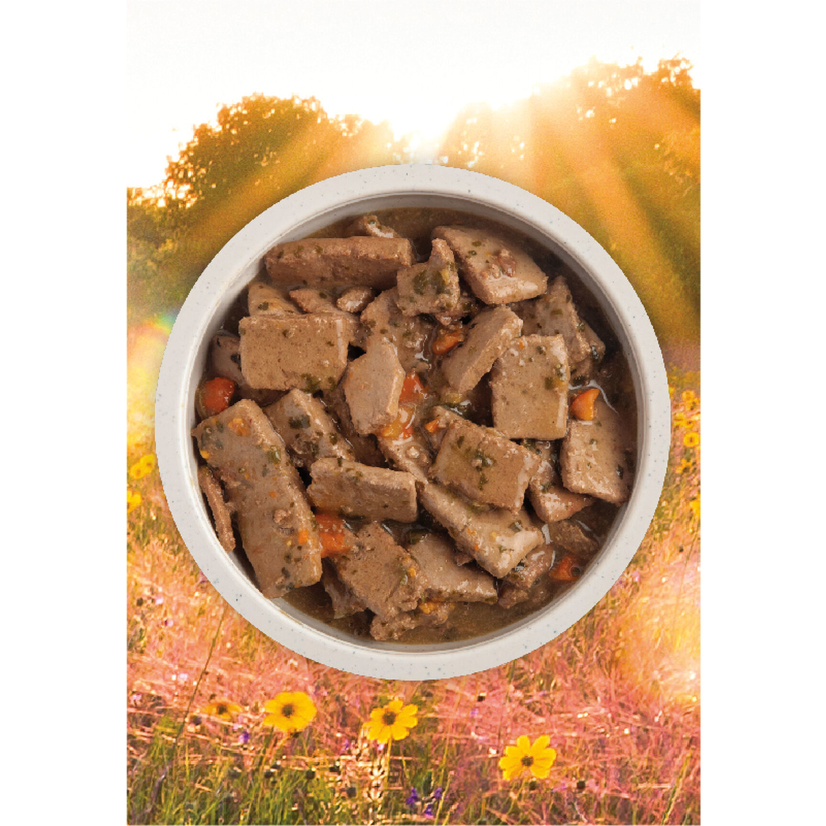 Acana Acana Dog Can Premium Chunks, Lamb Recipe in Bone Broth 363g