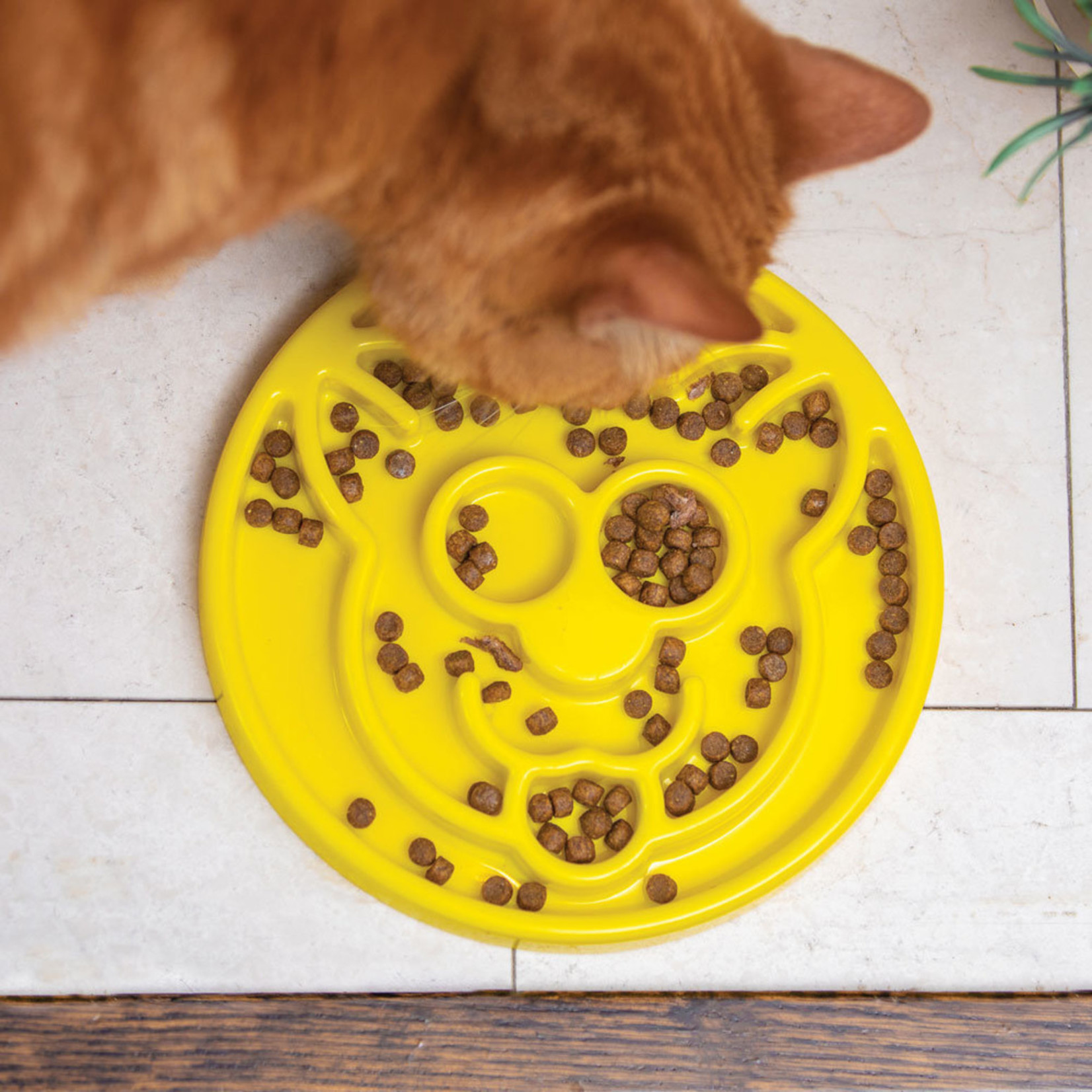 Be One Breed BeOneBreed Cat Slow Feeder 8" Yellow