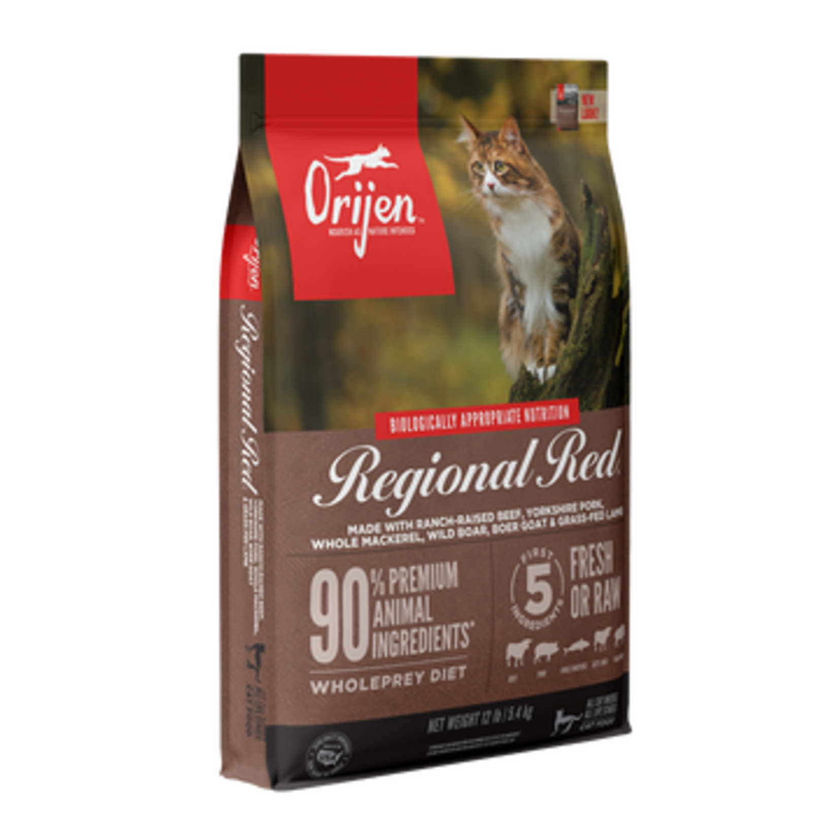 Orijen Orijen Cat Regional Red