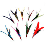 Go Cat DABIRD Refill ASSORTED COLOURS