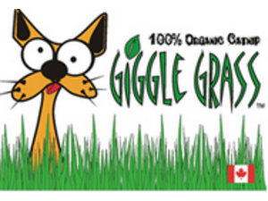 Giggle Grass