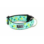 RC Pets RC Pets Wide Clip Collar Pineapple