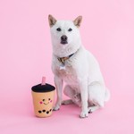 Zippy Paws ZippyPaws NomNomz Boba Milk Tea Dog Toy