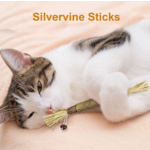 Ryercat Ryercat Cat Silvervine Dental Sticks 5-pk -Toys for Indoor Cats