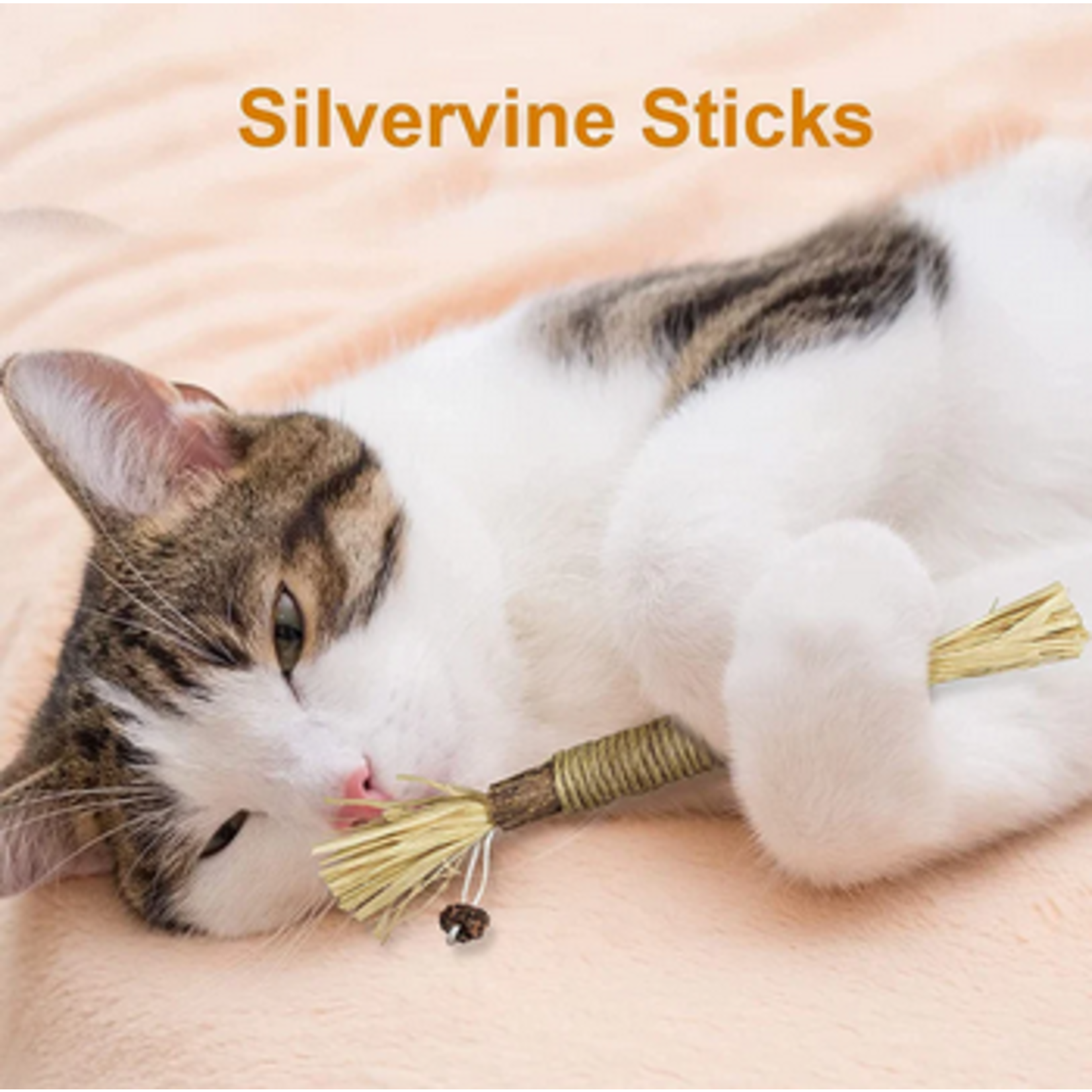 Ryercat Ryercat Cat Silvervine Dental Sticks 5pk -Toys for Indoor Cats
