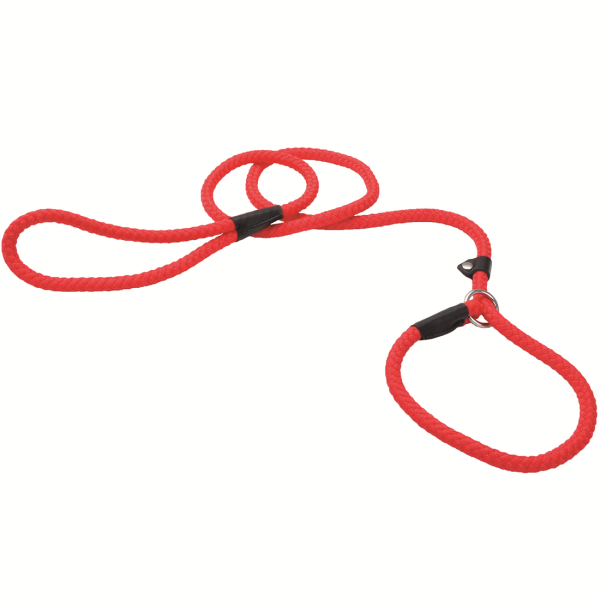 Coastal Rope Dog Leash, Lime 6 Foot