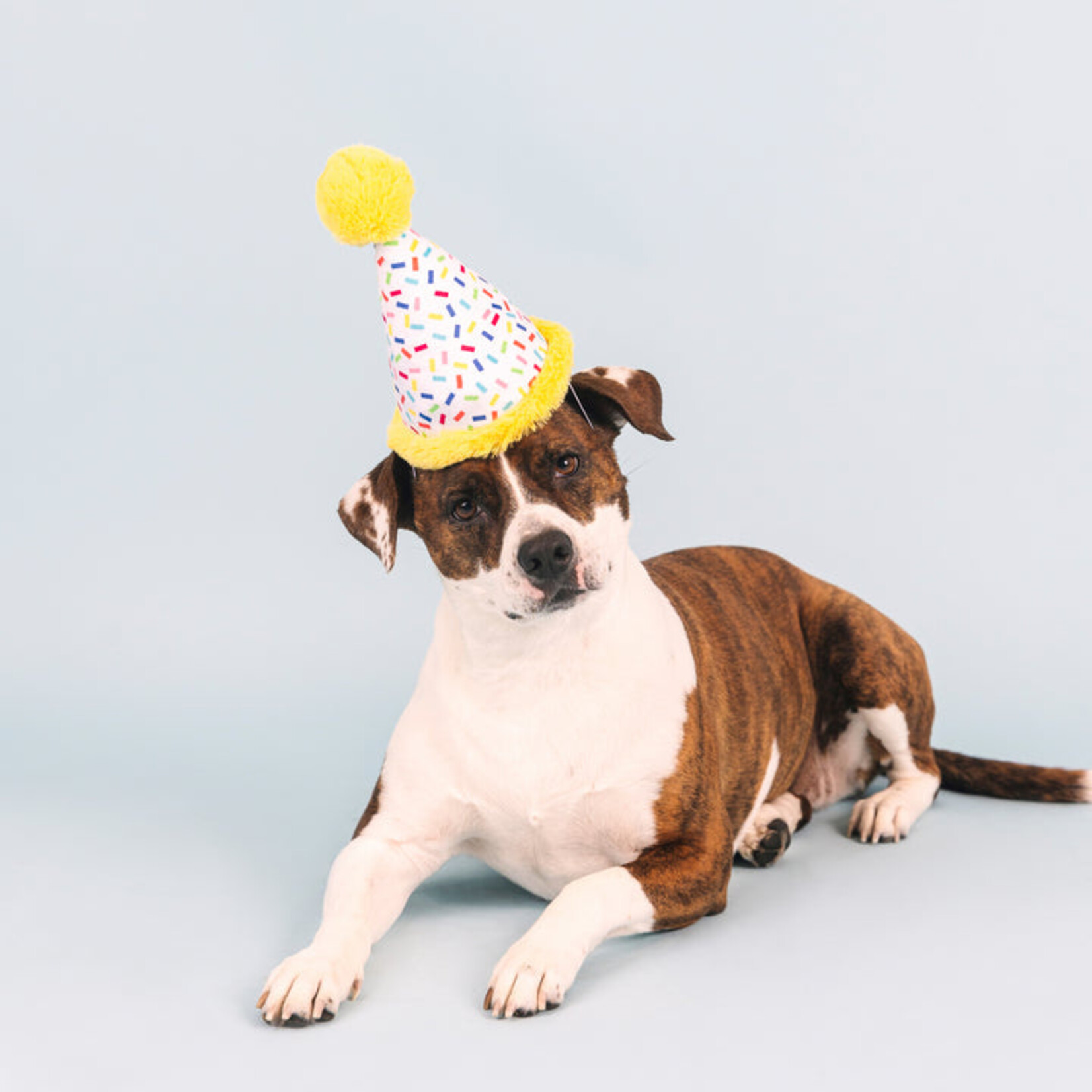 Fringe Studio Fringe Studio - Time To Celebrate Plush Dog Toy