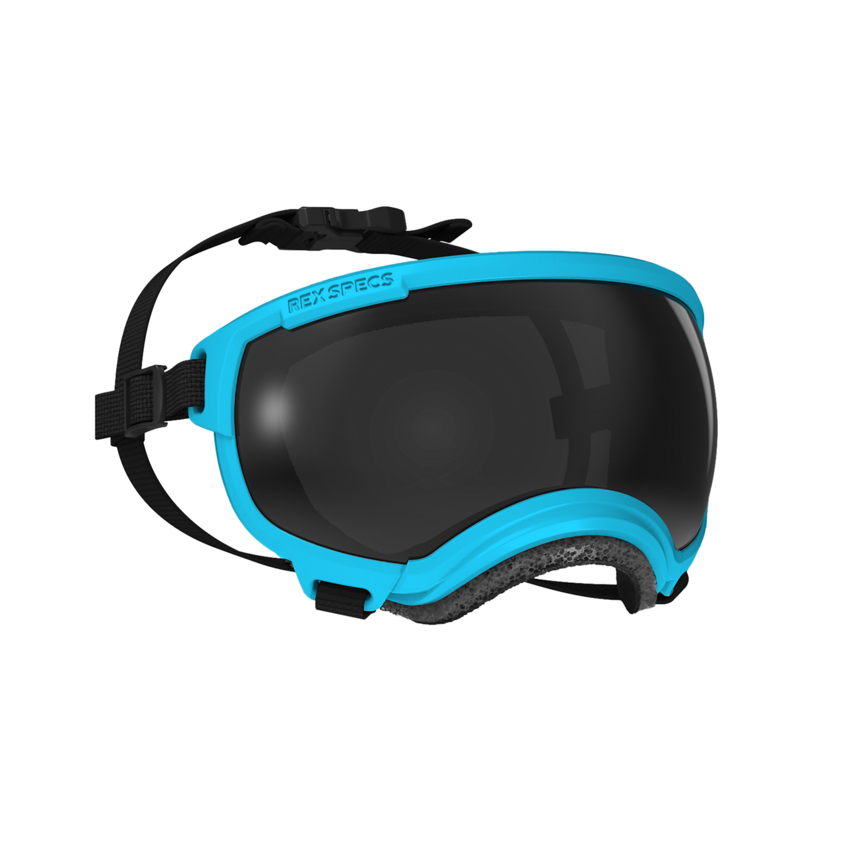 REX SPECS REX SPECS Goggles for Dogs - V2 SMALL