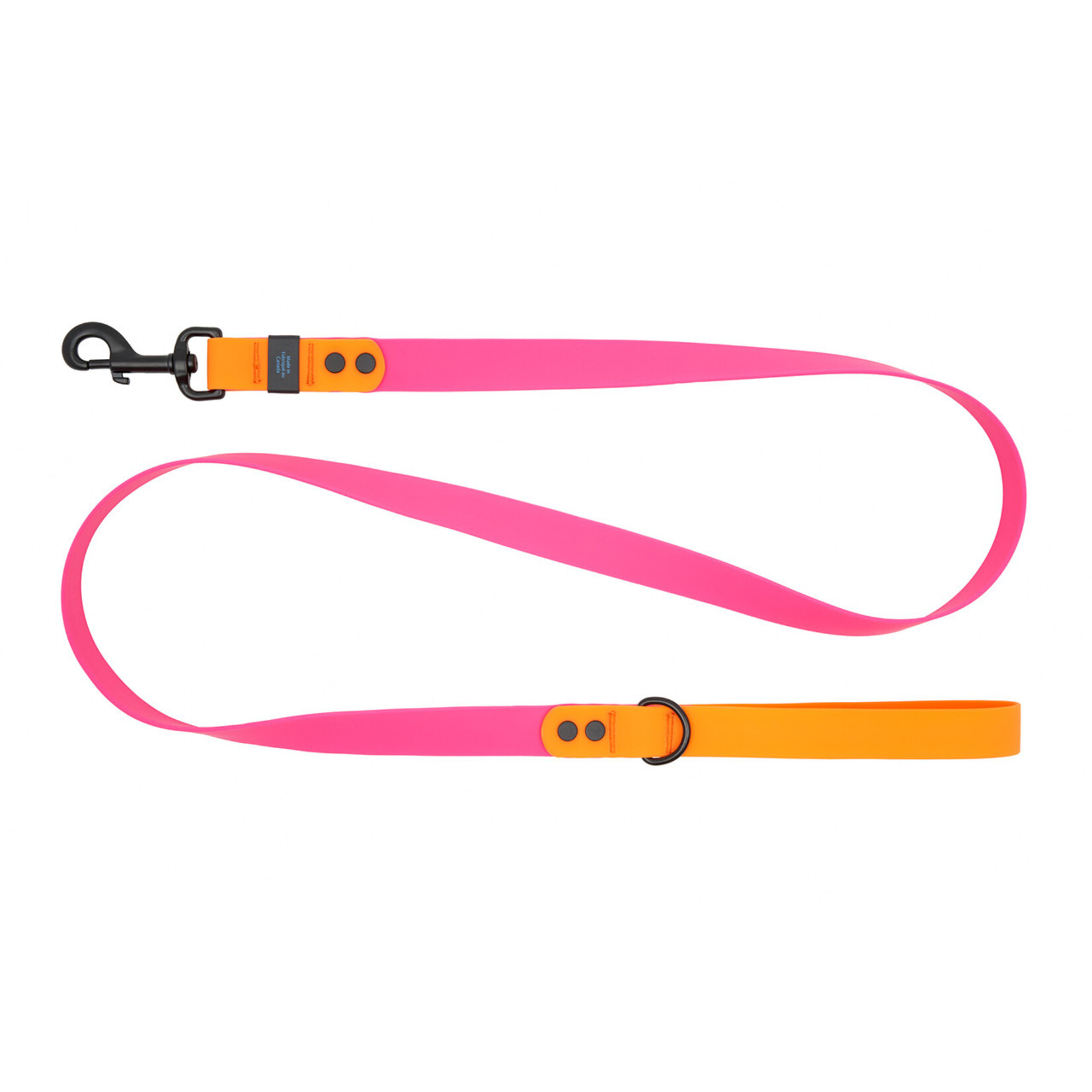 RC Pets RC Pets Waterproof Leash 5ft 3/4" Width