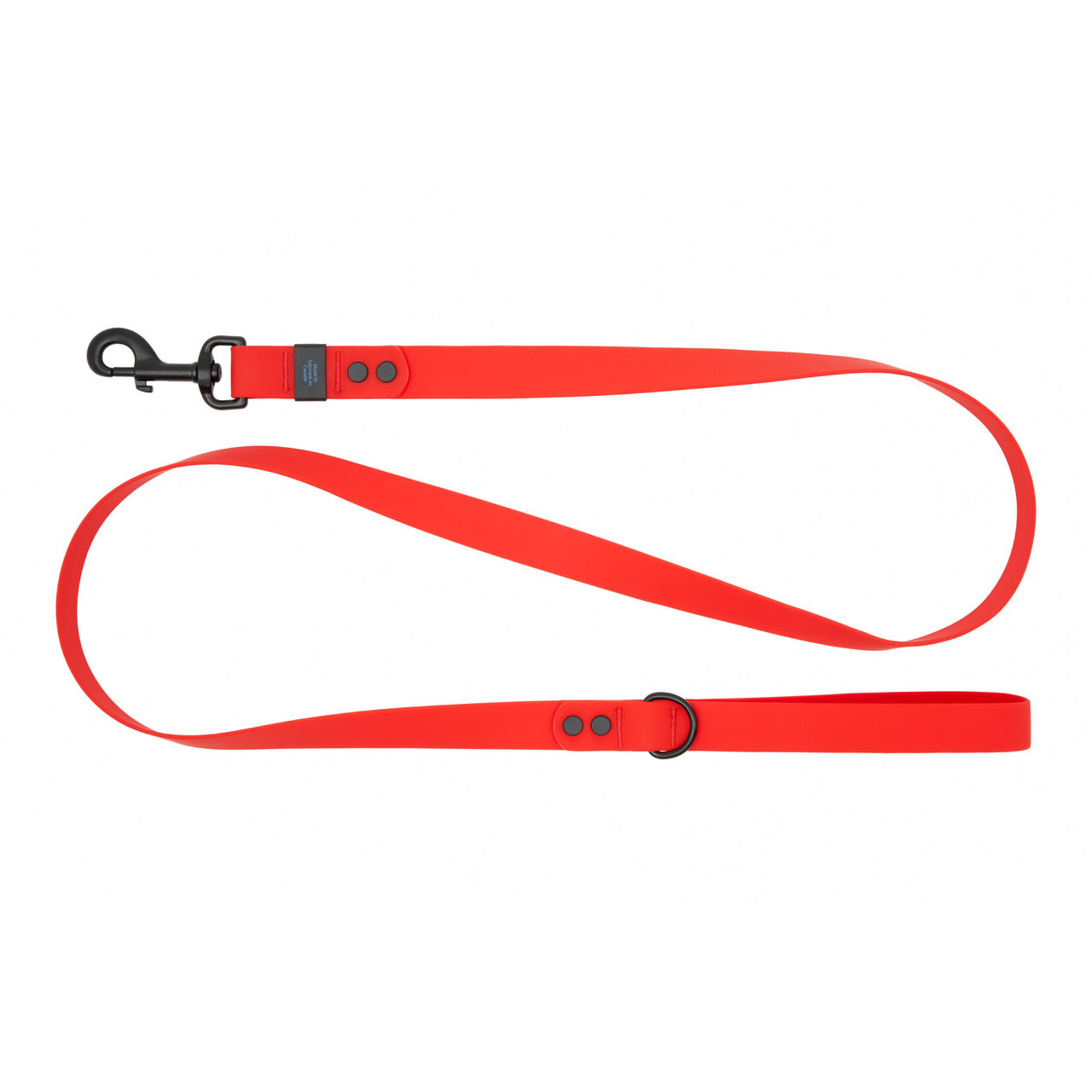 RC Pets RC Pets Waterproof Leash 5ft 3/4" Width