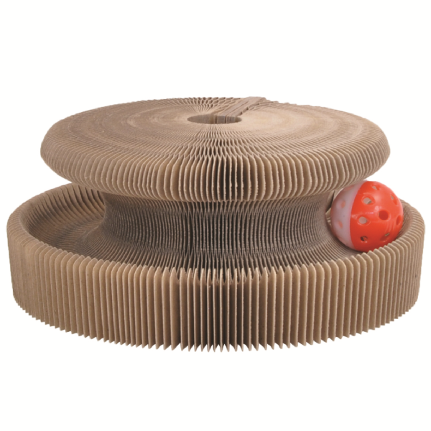 Coastal Coastal Turbo Transform It Tracks 10" Cardboard Toy