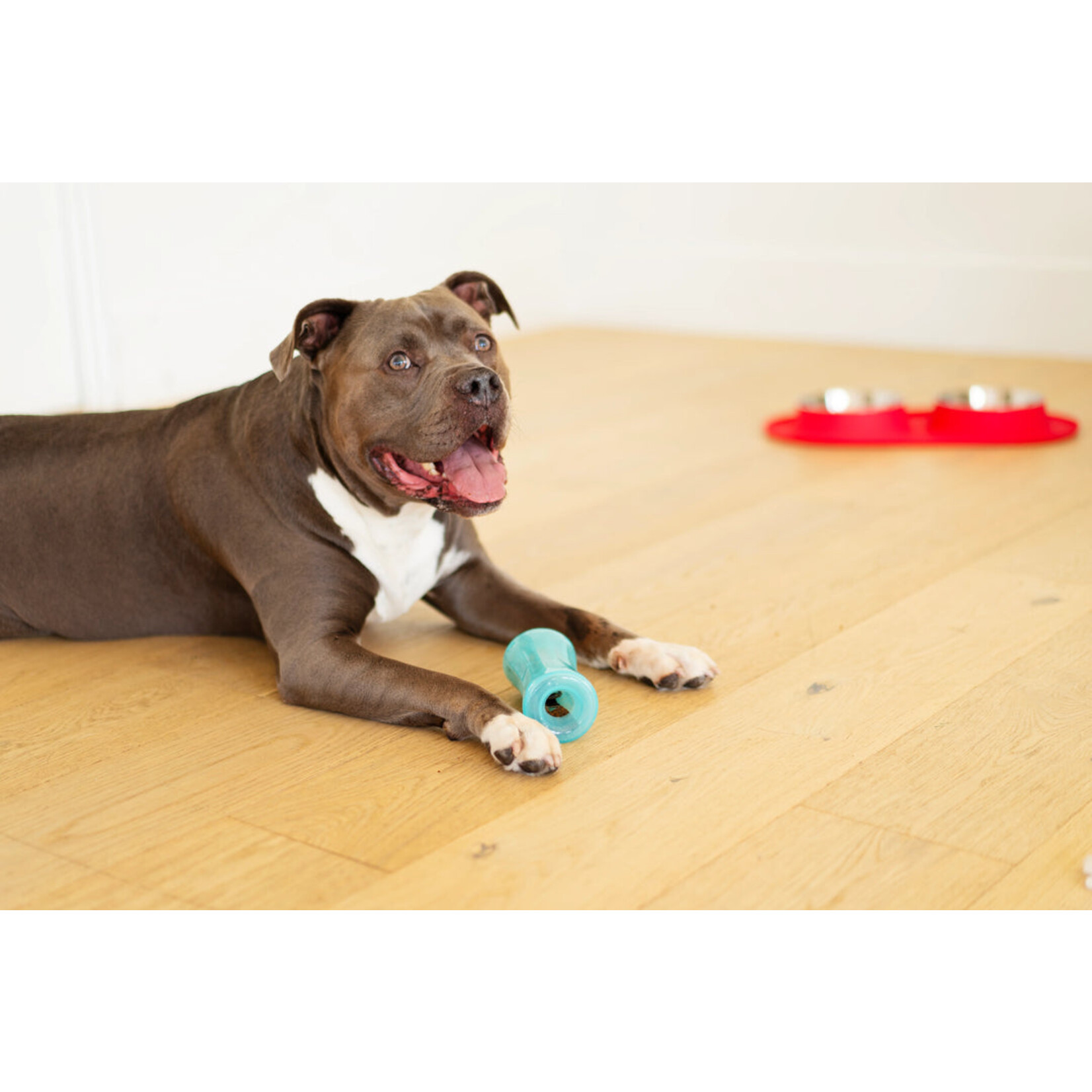 Messy Mutts Totally Pooched Stuff'n Shake Barrel 6" Teal