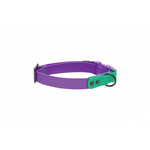 RC Pets RC Pets Waterproof Collar 3/4" Width Small
