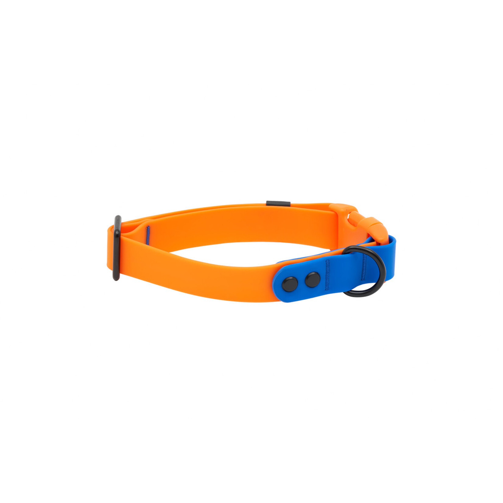 RC Pets RC Pets Waterproof Collar 1" Width Medium