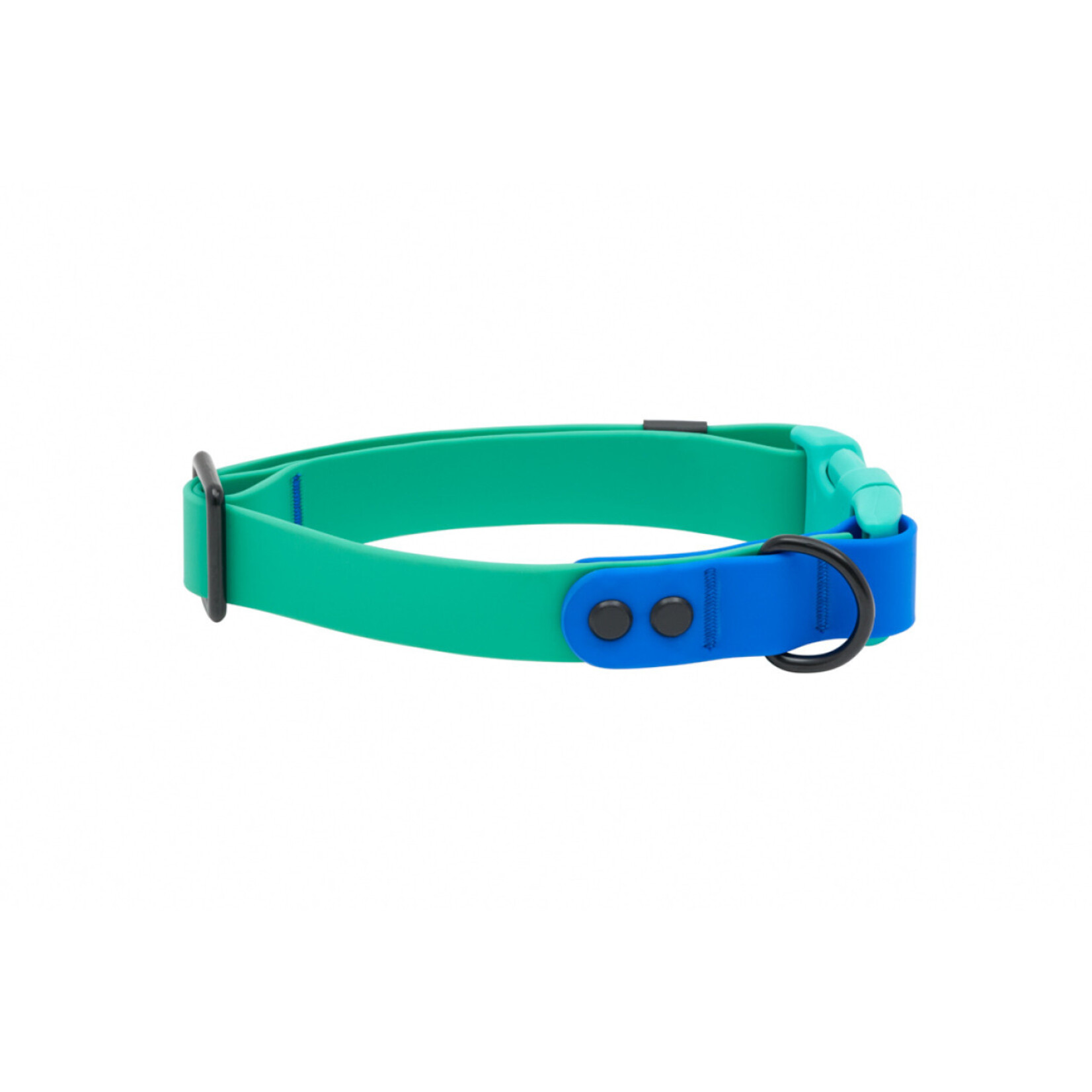 RC Pets RC Pets Waterproof Collar 1" Width Medium