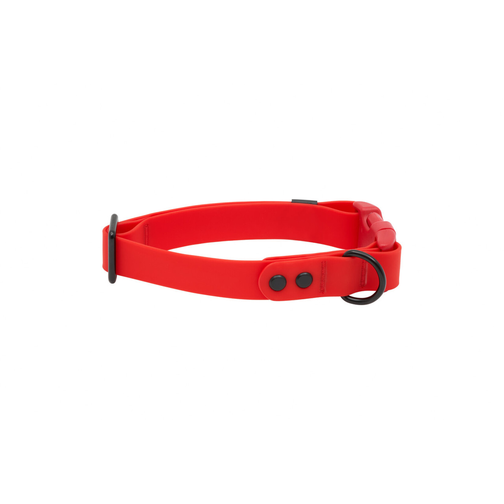 RC Pets RC Pets Waterproof Collar 1" Width Medium
