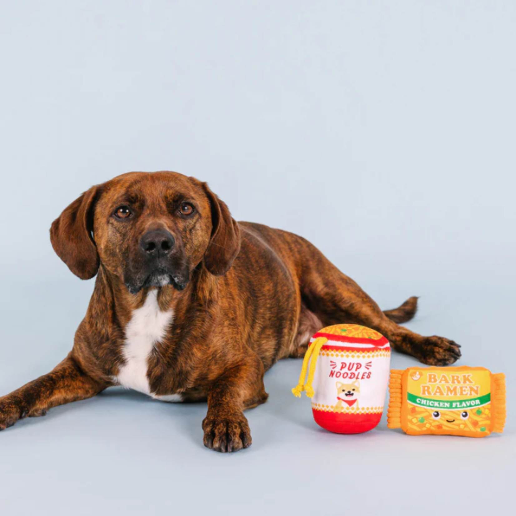Fringe Studio Fringe Studio Nothin But Noodles 2pc Dog Toy Set