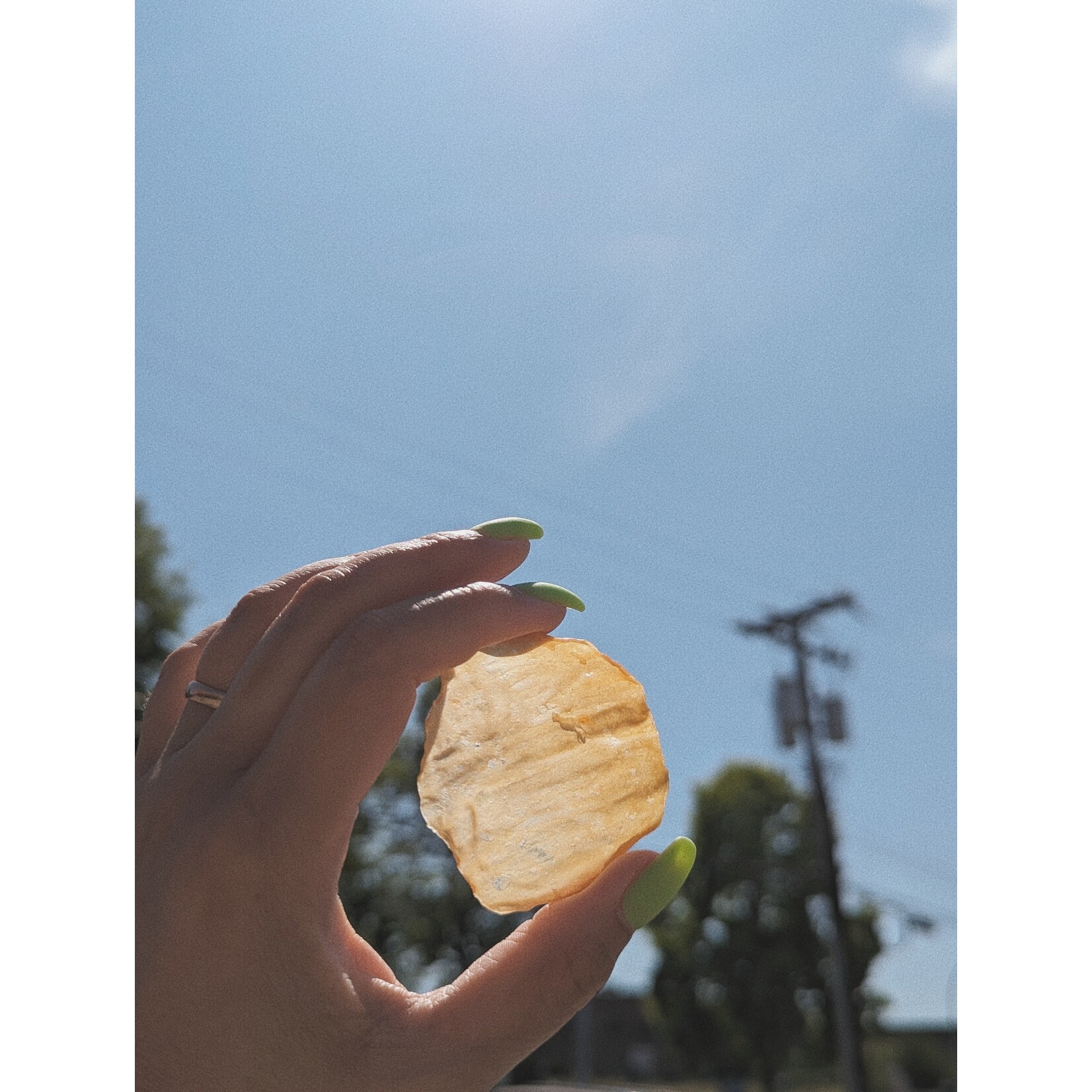 Furrytales Pet Furrytales Pet Chicken & Salmon Chips 50g