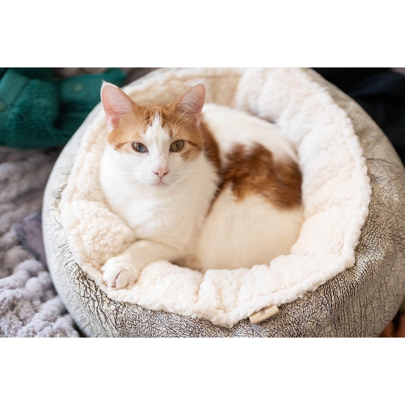 PLAY PLAY Cat Cuddler Bed Savannah Ash Grey