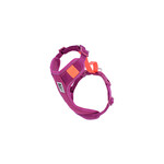 RC Pets RC Pets Moto Control Harness Mulberry/Hot Coral XL