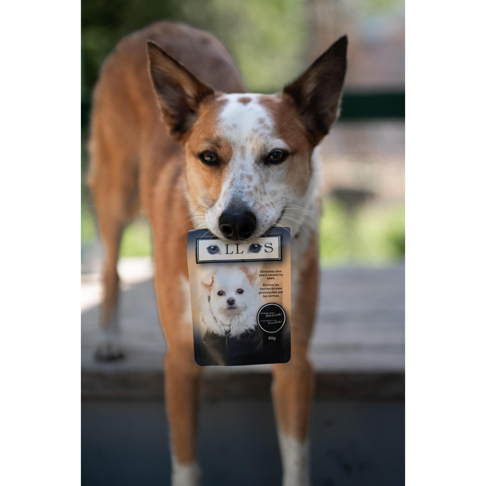 Ollos Ollos Tear Stain Remover 15g