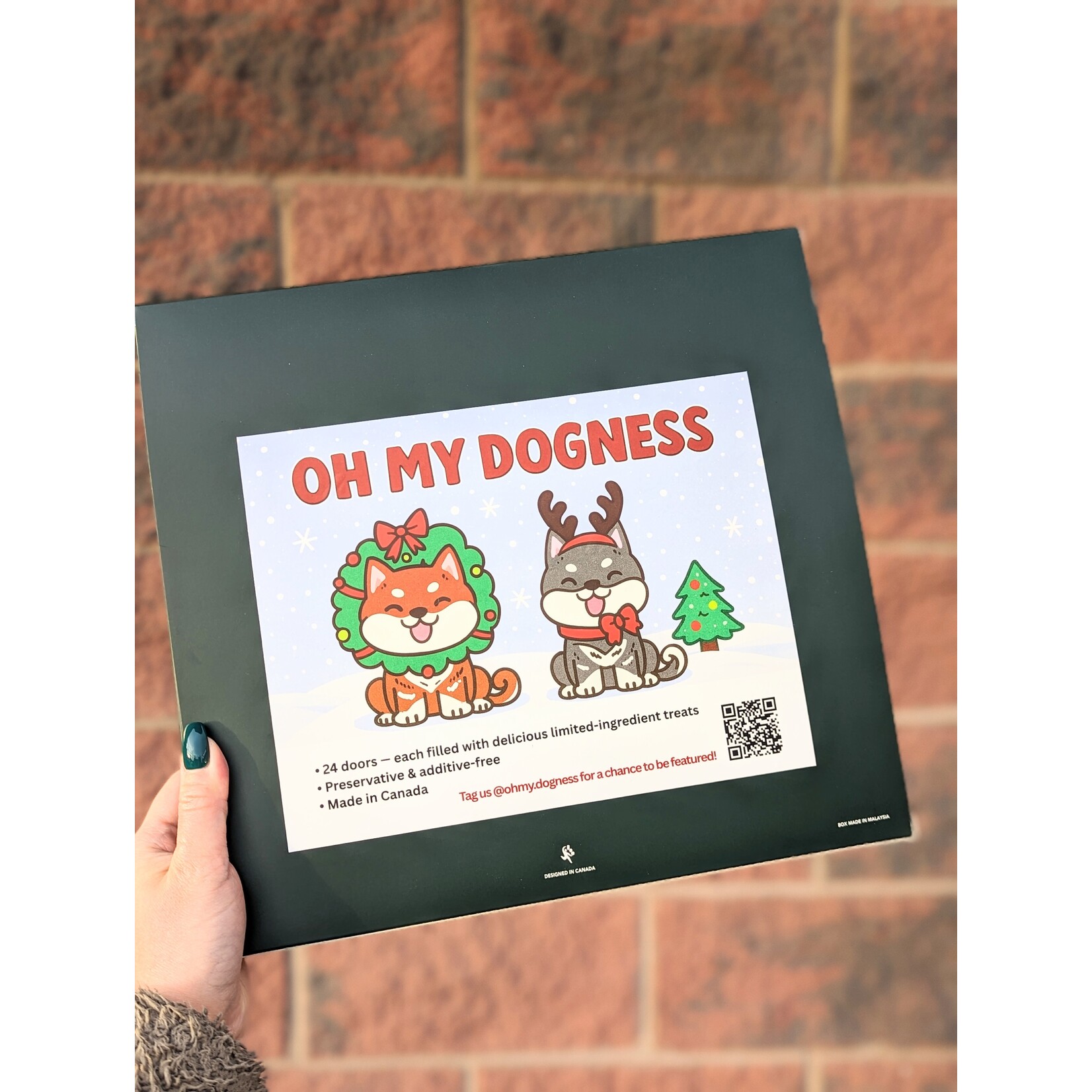 Oh My Dogness OH MY DOGNESS! 2025 Advent Caldendar