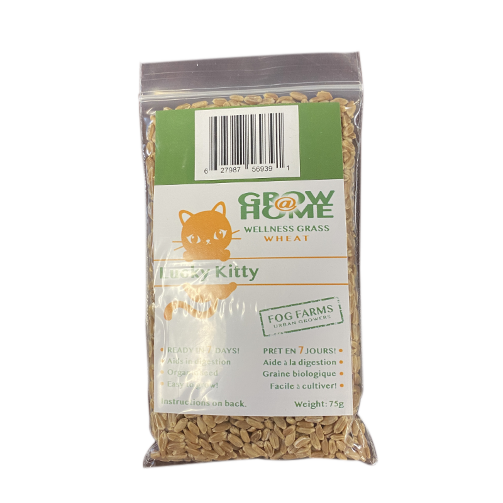 Lucky Kitty Lucky Kitty Grow at Home Seed Pack 75g