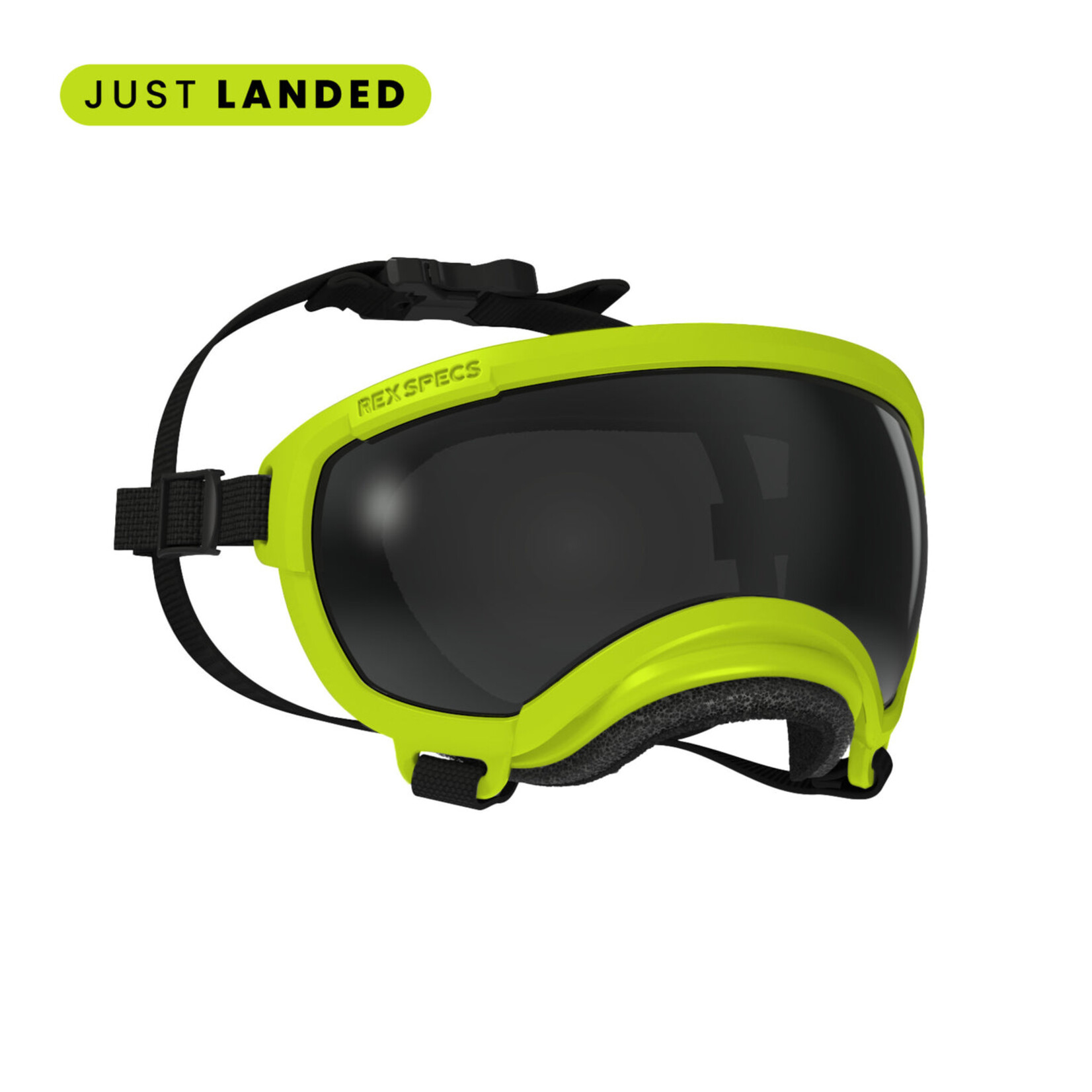 REX SPECS REX SPECS Goggles for Dogs - V2 XSMALL