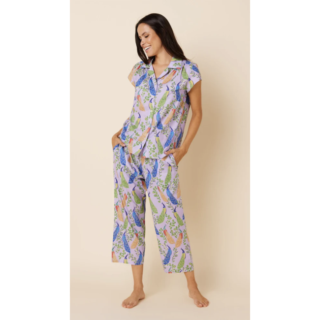 THE CAT'S PAJAMAS POSH PEACOCK LUXE PIMA CAPRI 225-773