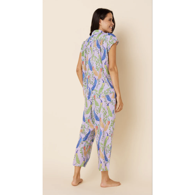 THE CAT'S PAJAMAS POSH PEACOCK LUXE PIMA CAPRI 225-773