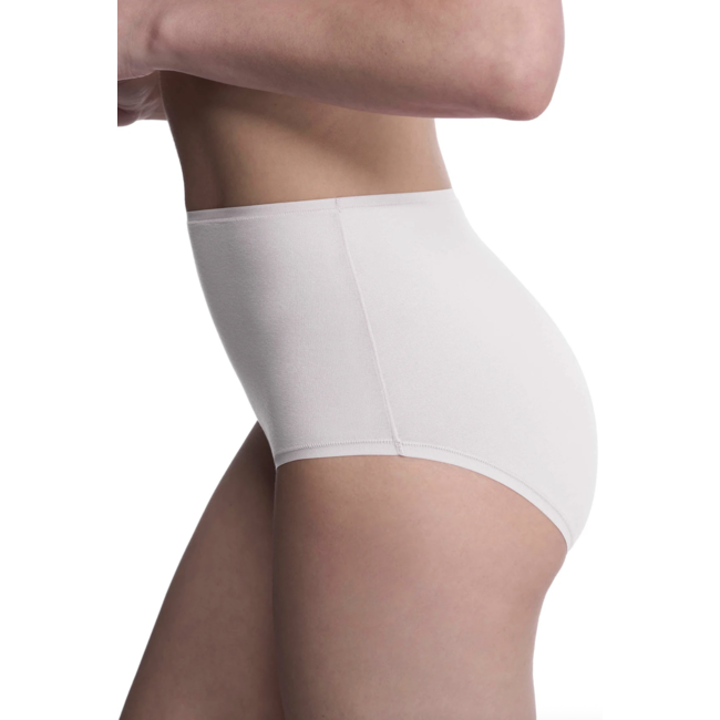 NATORI BLISS BARE HIGH WAIST BRIEF 778346