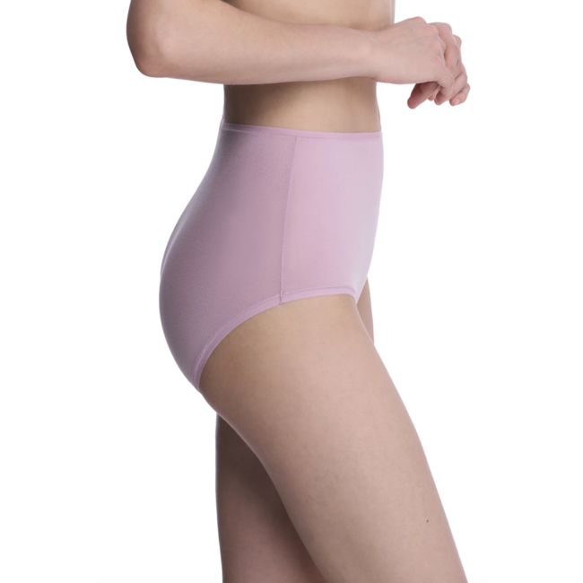 NATORI BLISS BARE HIGH WAIST BRIEF 778346