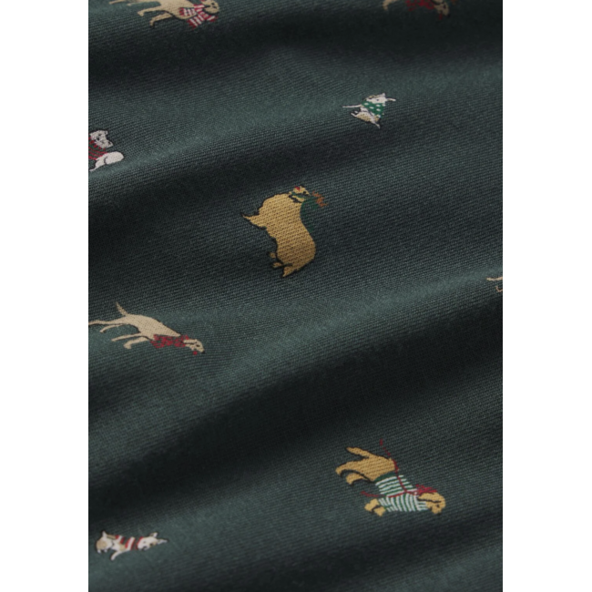 EBERJEY GISELE PRINTED LONG PJ SET PJ1141