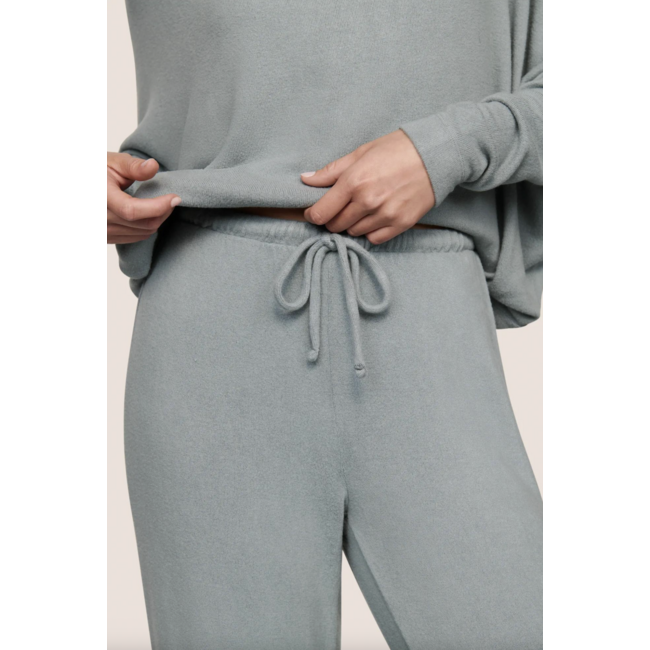 EBERJEY COZY TIME PANT Z4002W