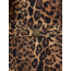L'AGENCE LISA LEOPARD PLUNGE ONE PIECE LG6WD09
